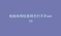 电脑有网但是网页打不开win10