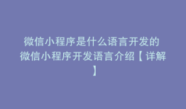 微信小程序是什么语言开发的 微信小程序开发语言介绍【详解】