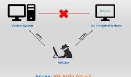 HTTP Strict Transport Security (HSTS) in ASP.NET Core