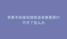 苹果手机接完微信语音就黑屏打不开了怎么办