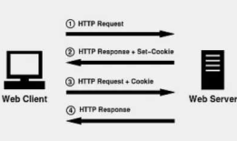 HTTP常用头部