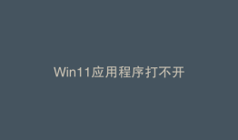 Win11应用程序打不开