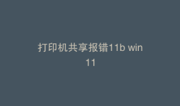 打印机共享报错11b win11