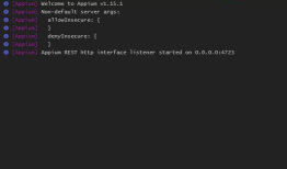 Appium Desired Capabilities