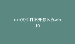 exe文件打不开怎么办win10