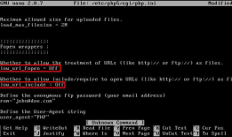 Ethical Hacking - Web Penetration Testing(7)