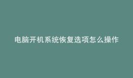 电脑开机系统恢复选项怎么操作