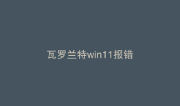 瓦罗兰特win11报错