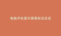 电脑开机显示屏鼠标没反应
