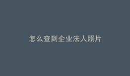 怎么查到企业法人照片