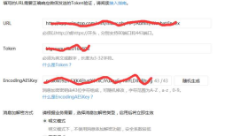 微信公众平台二次开发需要配置的几个地址与参数