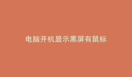 电脑开机显示黑屏有鼠标