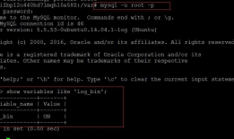 知识点：linux数据库备份