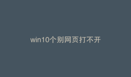 win10个别网页打不开