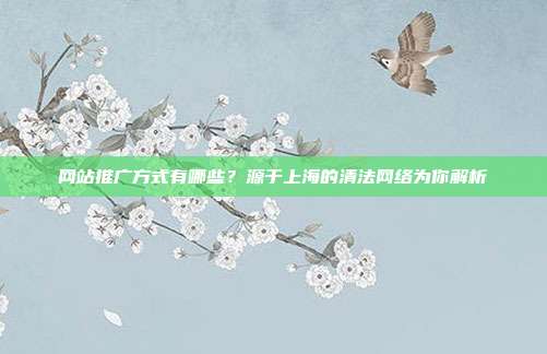 网站推广方式有哪些?源于上海的清法网络为你解析