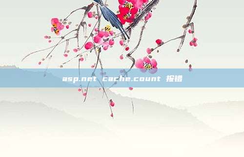 asp.net cache.count 报错